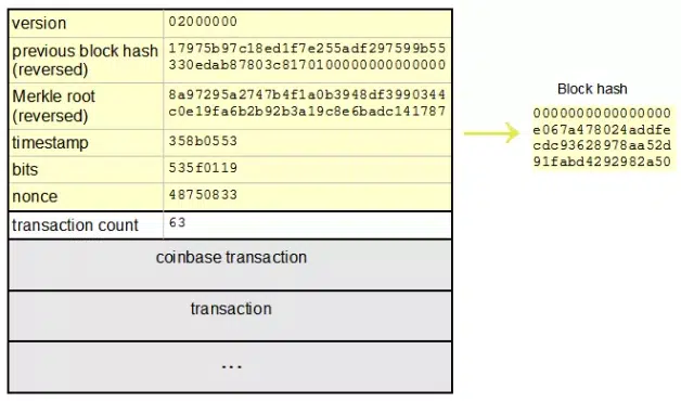 Composition of a Bitcoin block