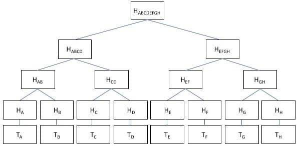 توضیحاتی پیرامون درخت مرکل (Merkle Tree) و ریشه مرکل (Merkle Root)