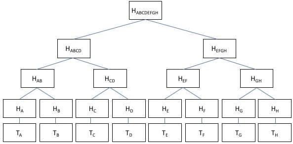 Diagram of a merkle tree