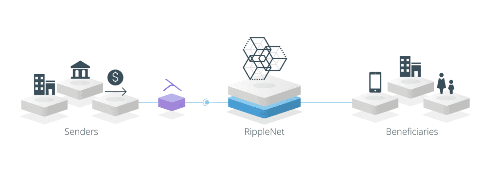 RippleNet 