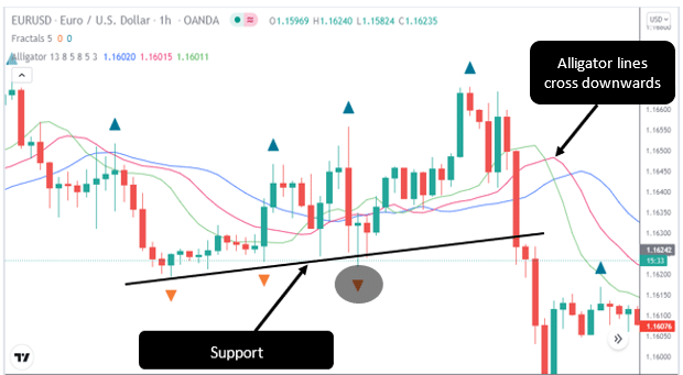 Bearish Fractal Strategy 2