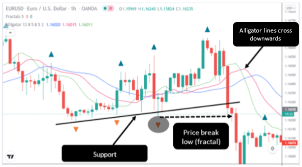 Bearish Fractal Strategy 3