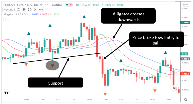 Bearish Fractal Strategy 4