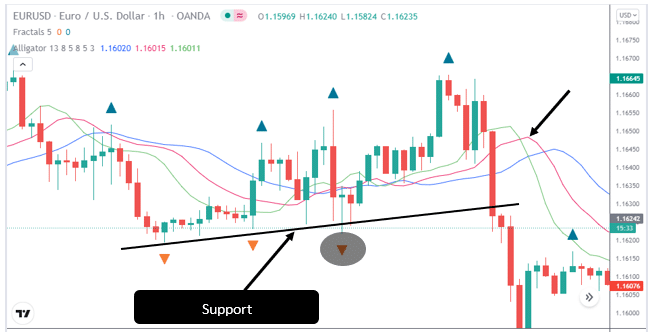 Bearish Fractal Strategy