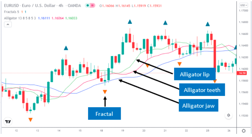 Bullish Fractal Strategy 2