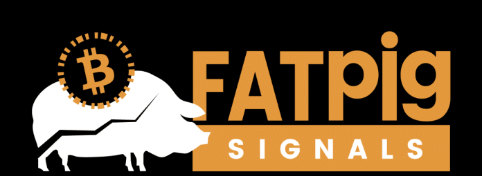 fat pig signals